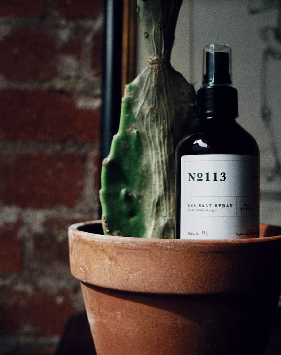 Sea Salt Spray from No 113 placed inside a cactus plant pot. 